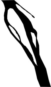 green lungs logo